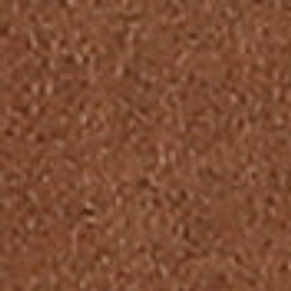 Thumbnail 2: PRALINE