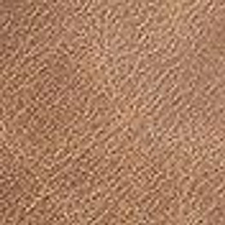 Thumbnail 8: TAN