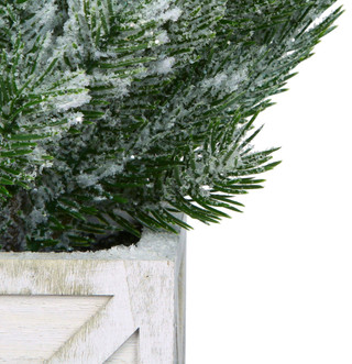 Thumbnail 2: Green