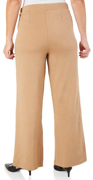 Thumbnail 2: Camel