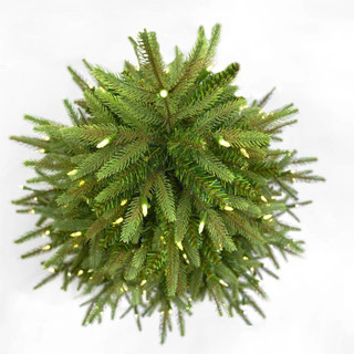 Thumbnail 2: Green