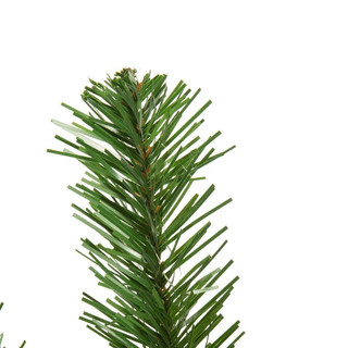Thumbnail 4: Green