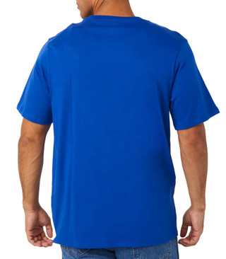 Thumbnail 3: BLUE