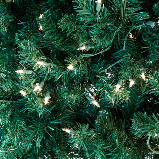 Thumbnail 3: Green Multi