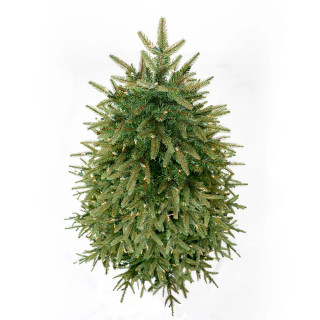 Thumbnail 4: Green Multi