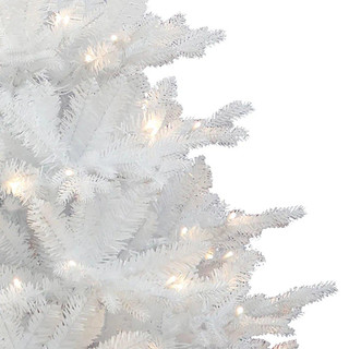 Thumbnail 2: WHITE