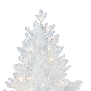 Thumbnail 3: WHITE