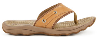 Thumbnail 2: Brown