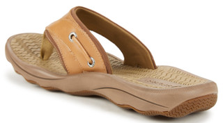 Thumbnail 3: Brown