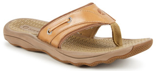 Thumbnail 1: Brown