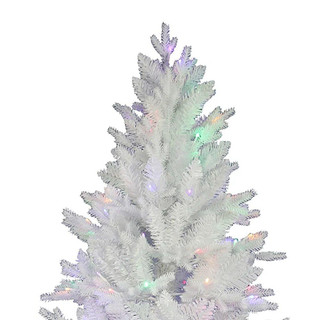 Thumbnail 3: WHITE MULTI