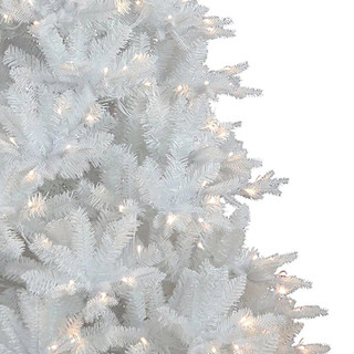 Thumbnail 2: WHITE