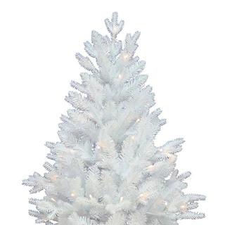 Thumbnail 3: WHITE