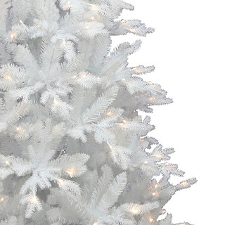 Thumbnail 2: WHITE