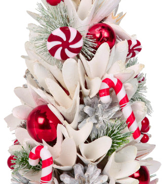 Thumbnail 2: WHITE/RED