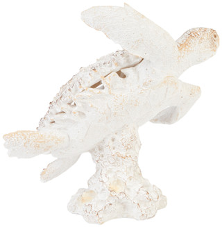 Thumbnail 2: BONE