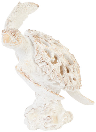 Thumbnail 3: BONE