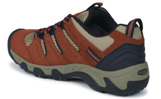 Thumbnail 2: Brown