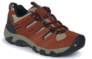 Thumbnail 1: Brown