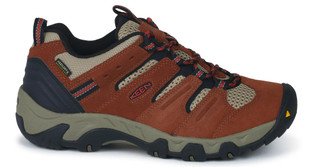 Thumbnail 3: Brown