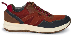 Thumbnail 2: Brown