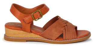 Thumbnail 2: Brown