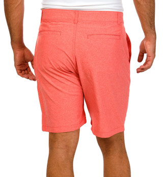 Thumbnail 2: Coral