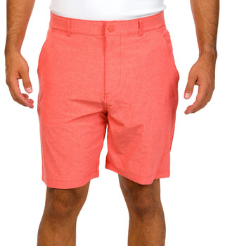 Thumbnail 1: Coral