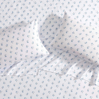 Thumbnail 16: Soft Blue