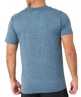 Thumbnail 2: GREY TEAL