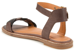Thumbnail 2: Brown