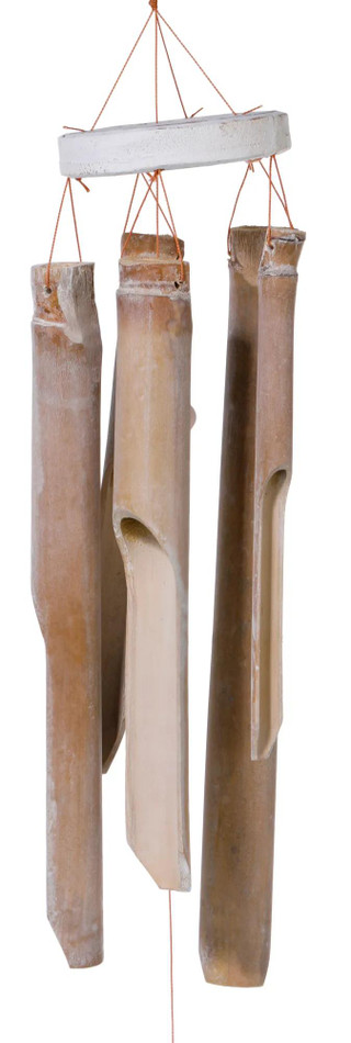 Thumbnail 3: NATURAL