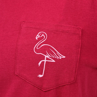 Thumbnail 3: RASPBERRY