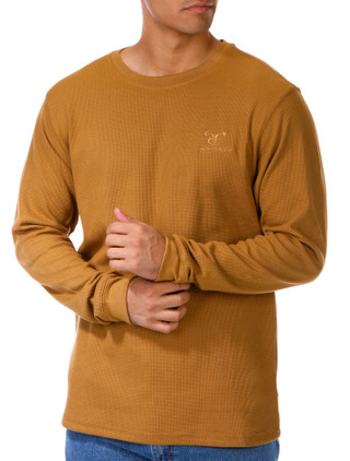 Thumbnail 3: BALLISTIC