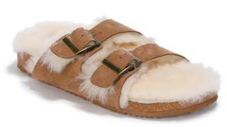 Thumbnail 1: CHESTNUT