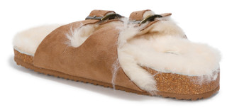 Thumbnail 2: CHESTNUT