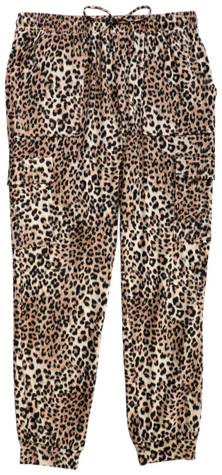 Thumbnail 1: CHEETAH