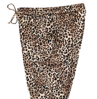 Thumbnail 3: CHEETAH