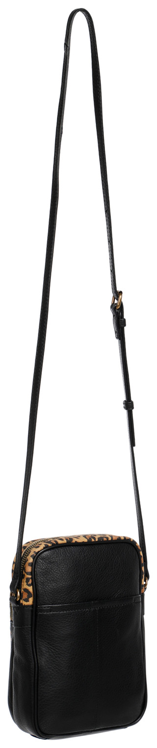 Thumbnail 6: LEOPARD