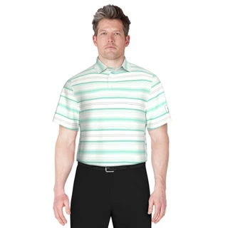 Thumbnail 3: PGA TOUR PGA TOUR Men's Pro Energy Stripe Golf Polo 