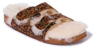 Thumbnail 1: LEOPARD