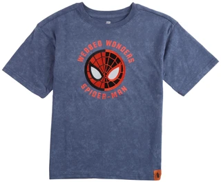 Thumbnail 1: Spiderman Spiderman Big Boys Spiderman Webbed Wonders T-Shirt 