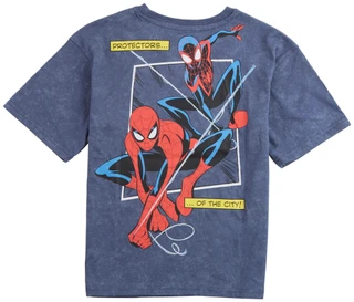 Thumbnail 2: Spiderman Spiderman Big Boys Spiderman Webbed Wonders T-Shirt 