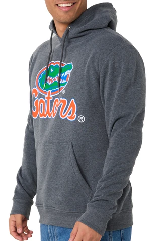 Thumbnail 3: Florida Gators Florida Gators Mens Icon Hoodie 