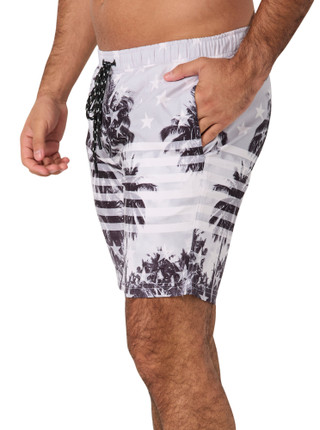 Thumbnail 3: Distortion Distortion Mens Americana Palm Print Boardshorts 
