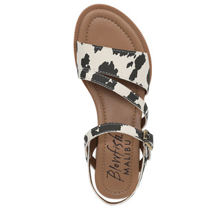 Thumbnail 2: COW MULTI