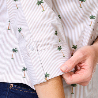 Thumbnail 2: TAN STRIPE PALM