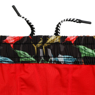 Thumbnail 4: SWORDFISH