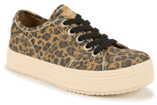 Thumbnail 1: Brown Multi