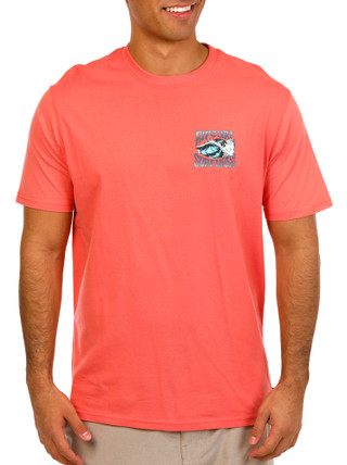 Thumbnail 4: PINK SKY